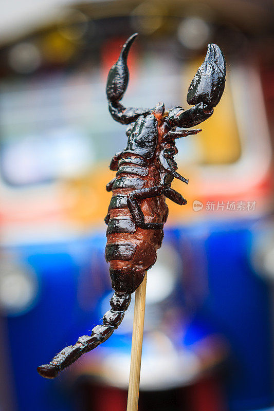 泰国曼谷考山路的一个街边小吃摊上的蝎子串