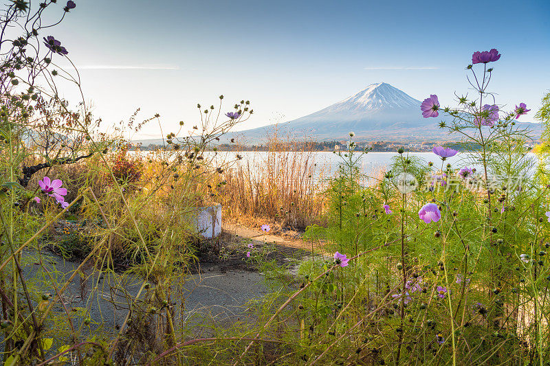 富士山川口湖的皮划艇