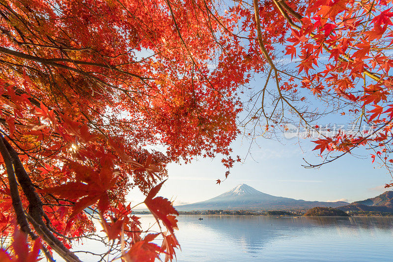 早晨的富士山和川口湖，秋季的富士山在山町。