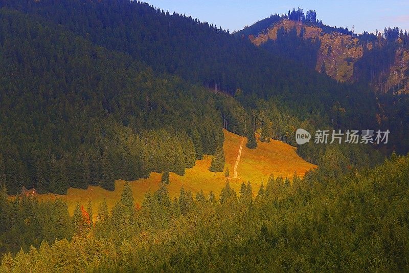 山路到高山林地景观秋天-巴伐利亚阿尔卑斯，德国