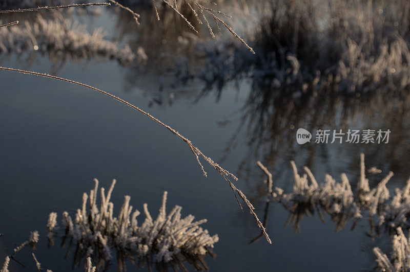 湿地结冰