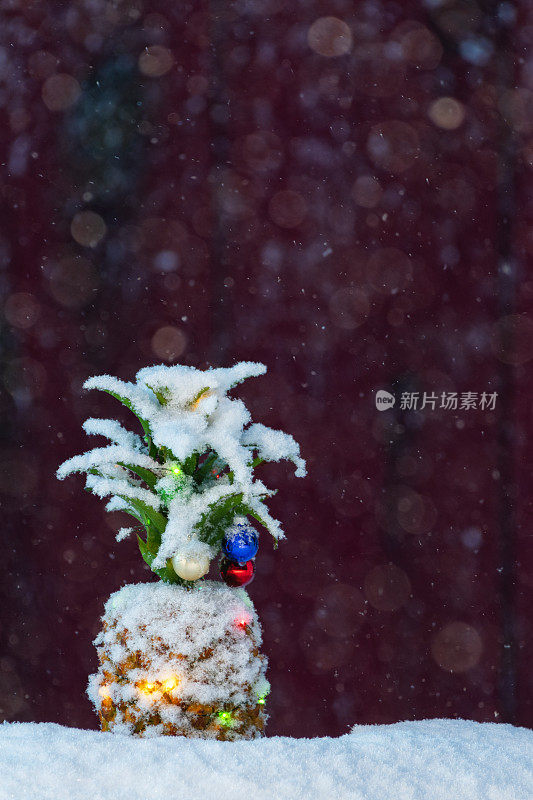 一个菠萝，在下雪的夜晚挂着圣诞彩灯和小装饰品