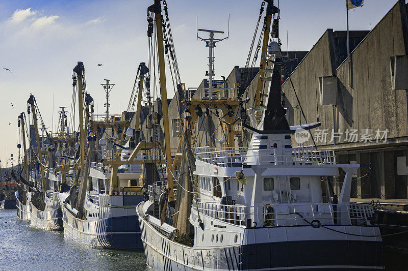 一组商业拖网渔船在斯赫弗宁根港
