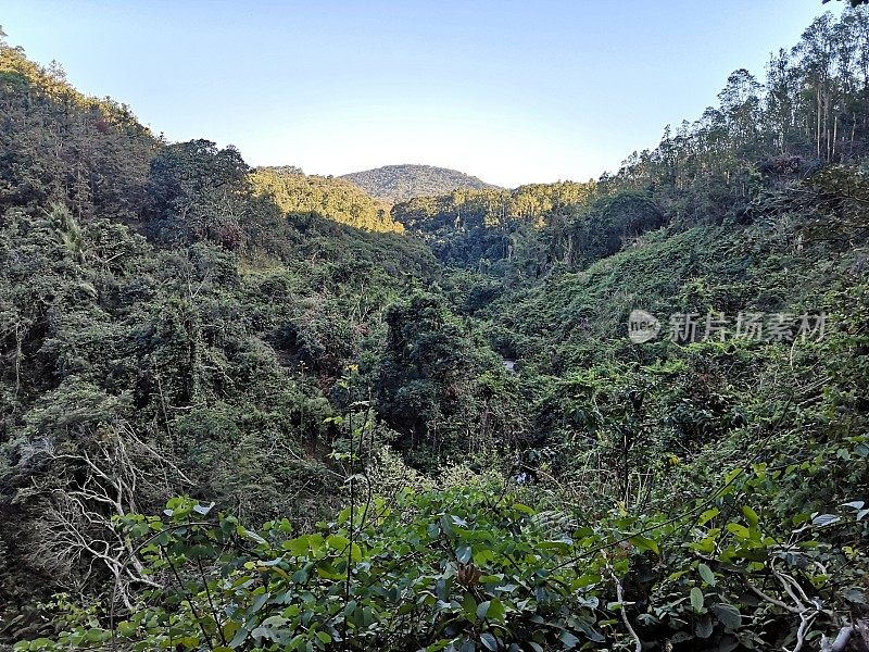 香港新界八仙岭郊野公园景观