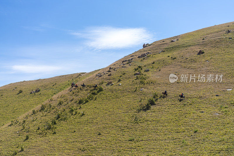 一大群游客在吉尔吉斯斯坦科赫库附近的大斜坡上骑马旅游