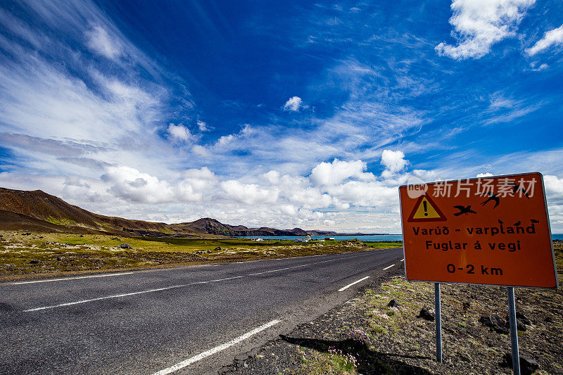 冰岛:夏季南海岸环路上的鸟类迁徙警告标志