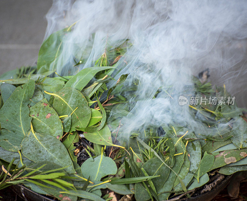 准备一个吸烟仪式，一个澳大利亚土著的清洁和欢迎到国家活动。