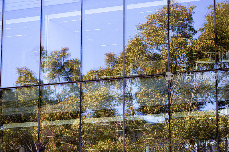 树木映照在办公大楼的玻璃墙上，背景带有复制空间