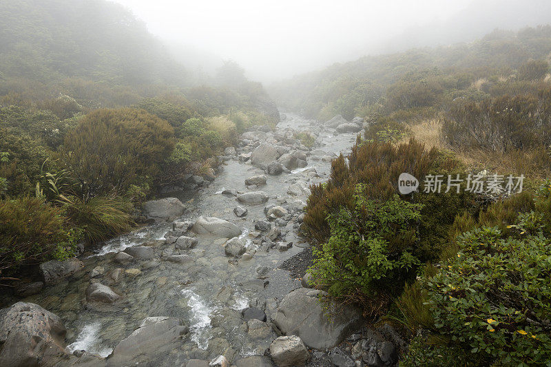 沿着阿瑟山口国家公园的多布森自然步道小溪