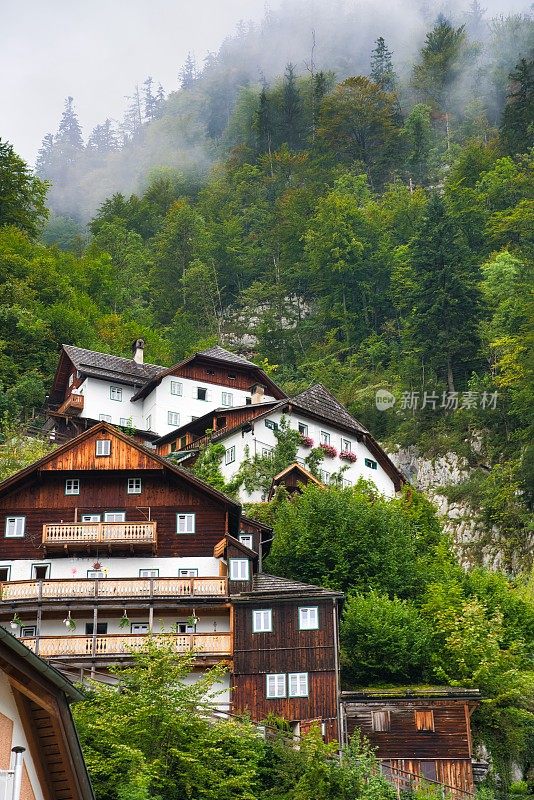 奥地利哈尔斯塔特村，传统的当地房屋风格建在山上，周围环绕着新鲜的自然绿树环境