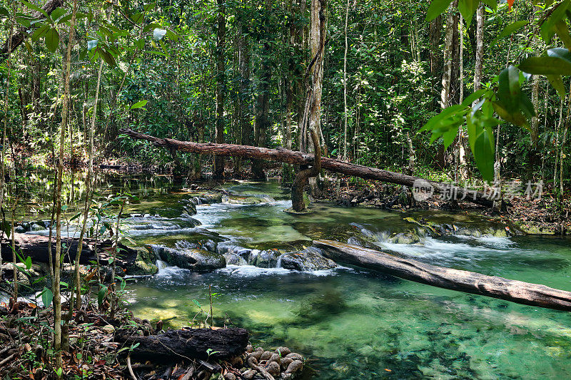 泰国的丛林、森林和河流