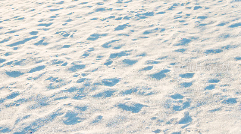 白雪背景的特写