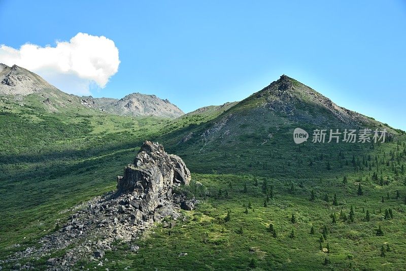 野蛮的河流景观