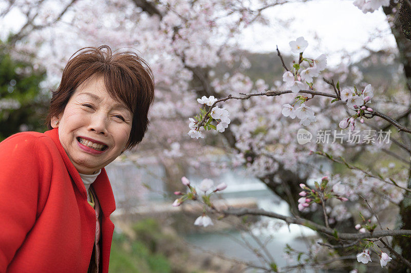 日本女子赏花