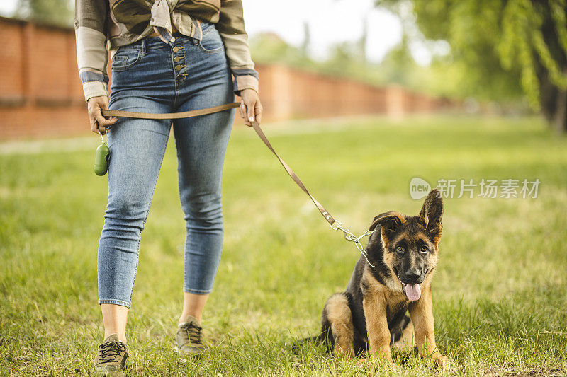 一个年轻女子和她的德国牧羊犬在公园散步