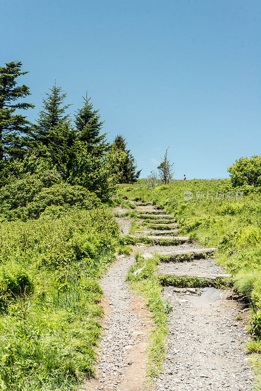 的阿巴拉契亚山道