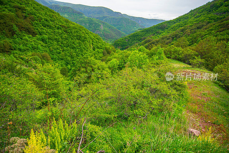 蜿蜒的道路在老山或斯达拉平原的乡间穿行