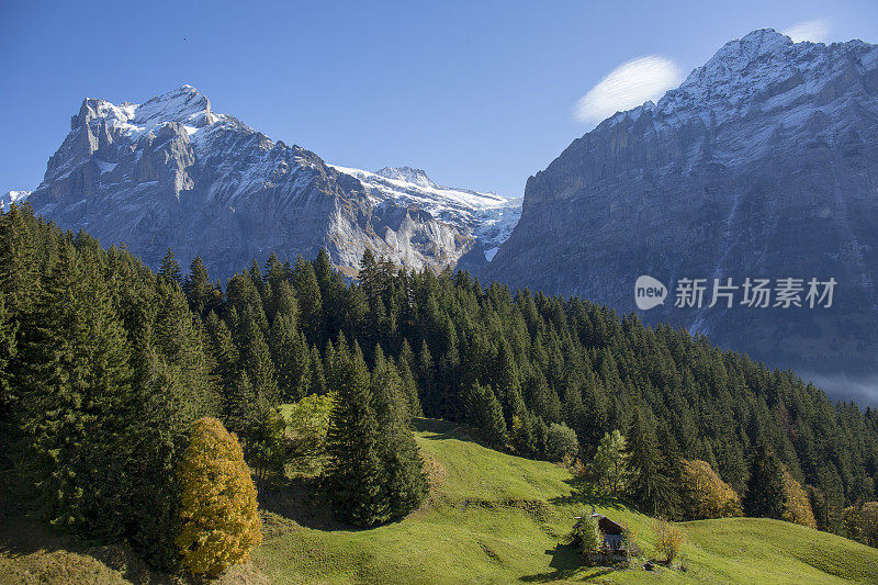 瑞士阿尔卑斯山下面阳光明媚的山谷风景