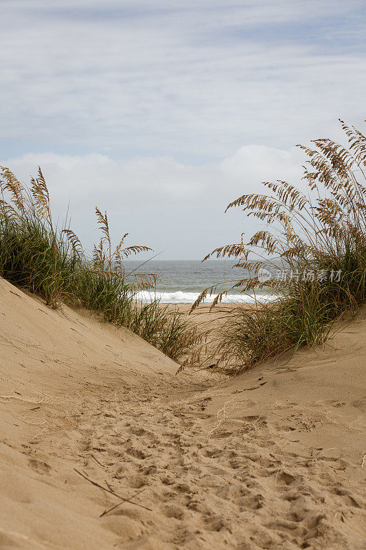 在阳光明媚的日子，海滩草和沙丘通向海滩