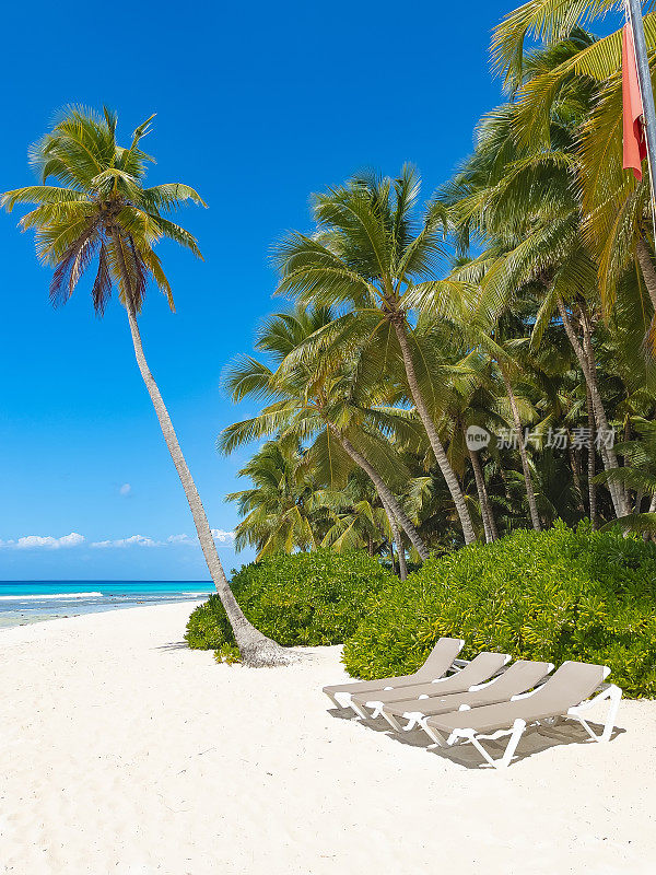 加勒比海热带海滩，多米尼加共和国绍纳岛