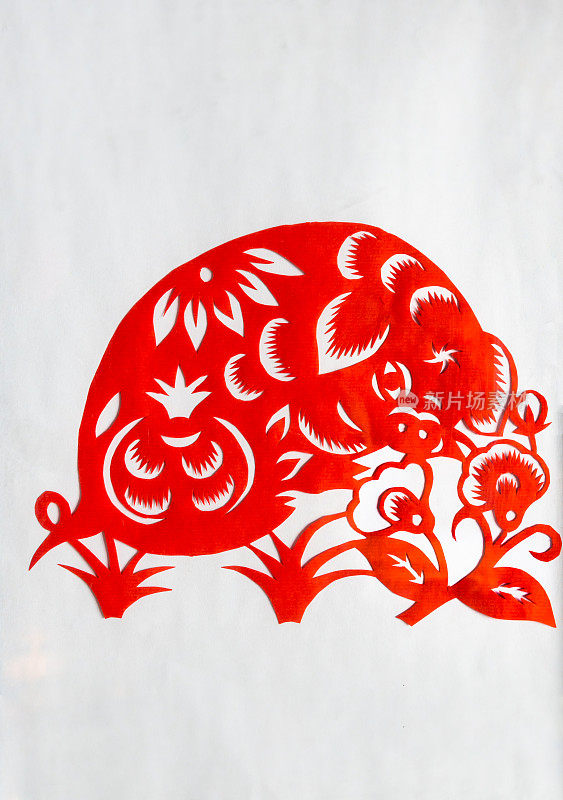 中国传统剪纸，猪，中国生肖符号