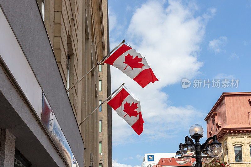 加拿大渥太华市中心的建筑物上挂着加拿大国旗的街景