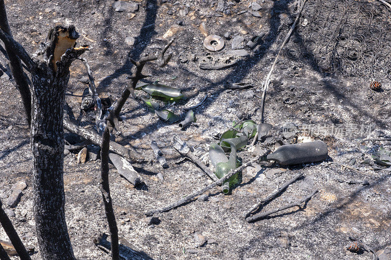 森林大火后，木头变成了灰烬和破碎的玻璃瓶