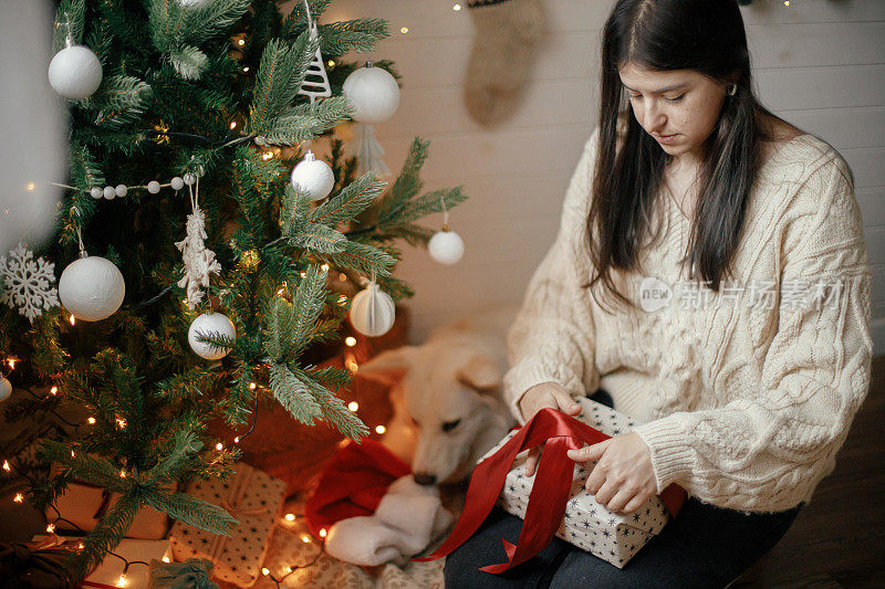 穿着舒适毛衣的时尚女人用红丝带包装圣诞礼物，可爱的狗坐在圣诞树下，挂着灯。年轻的女性和在场的人坐在喜庆的斯堪的纳维亚房间里