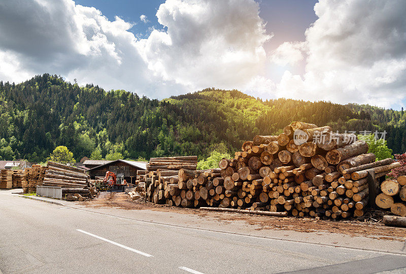 在德国，锯木厂旁成堆的原木