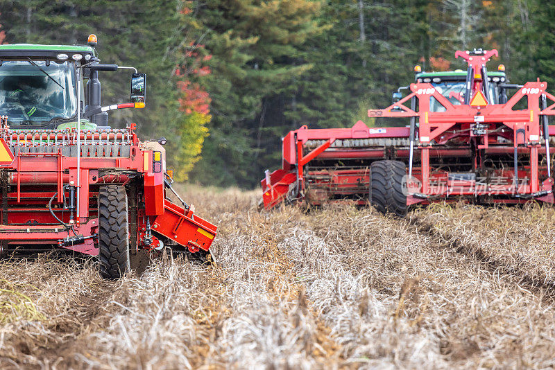 秋天收获新鲜土豆的拖拉机和农业机械的特写