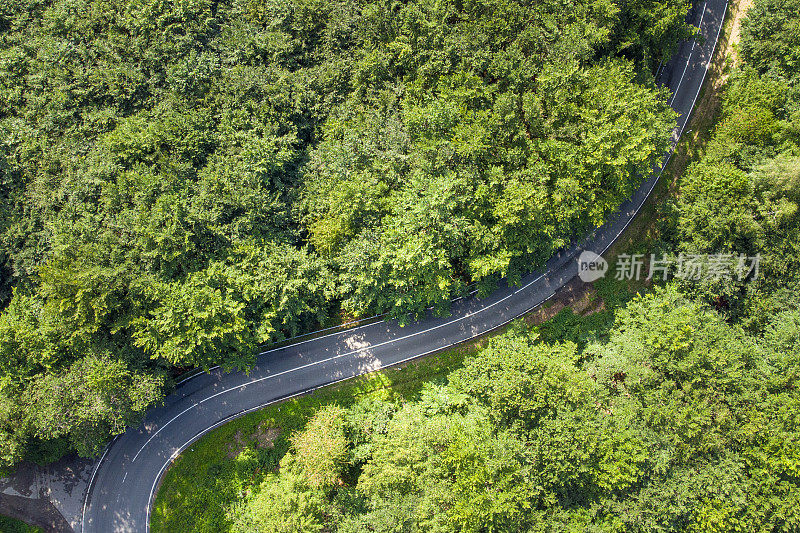 森林中的道路-鸟瞰图