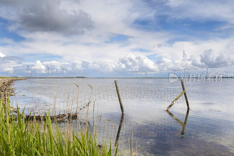 位于荷兰南荷兰省Overflakkee岛上的batoord附近的Grevelingenmeer，背景是一座风电场