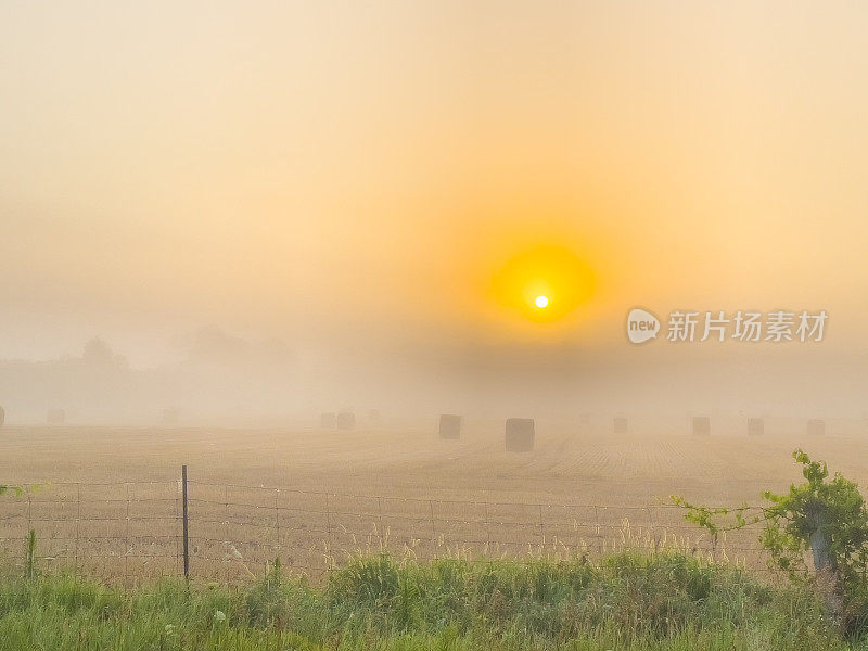 加拿大，曼彻斯特，佩里港，清晨雾中的乡村景色