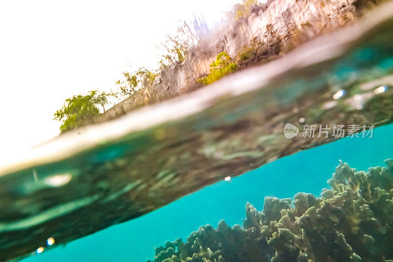 充满活力的水下珊瑚和蓝绿色海洋中的海洋生物，海底的海洋生物