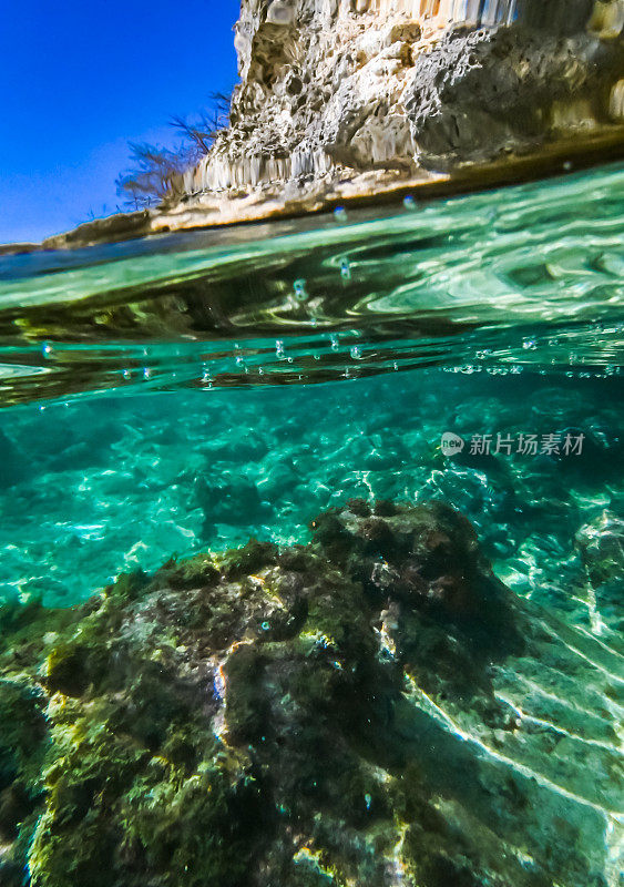 热带加勒比海底生物，上面有悬崖