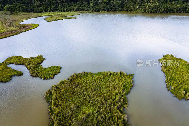 俯瞰巴西热带河流中被植被覆盖的岛屿