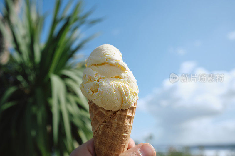 6月一个阳光明媚的日子，康沃尔郡纽基，一只手拿着香草冰淇淋蛋卷，对着有棕榈树的蓝天。