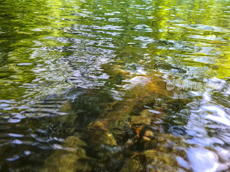 石头在寒冷的天然湖泊与绿色的水和树木-水下的波浪