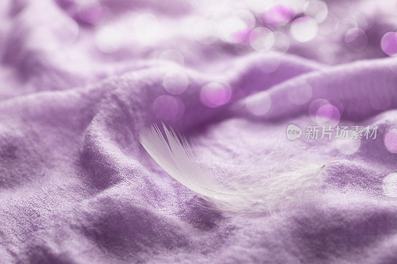 紫色丝巾背景及羽毛