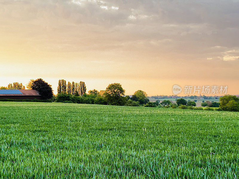 金色的夕阳在村庄上空