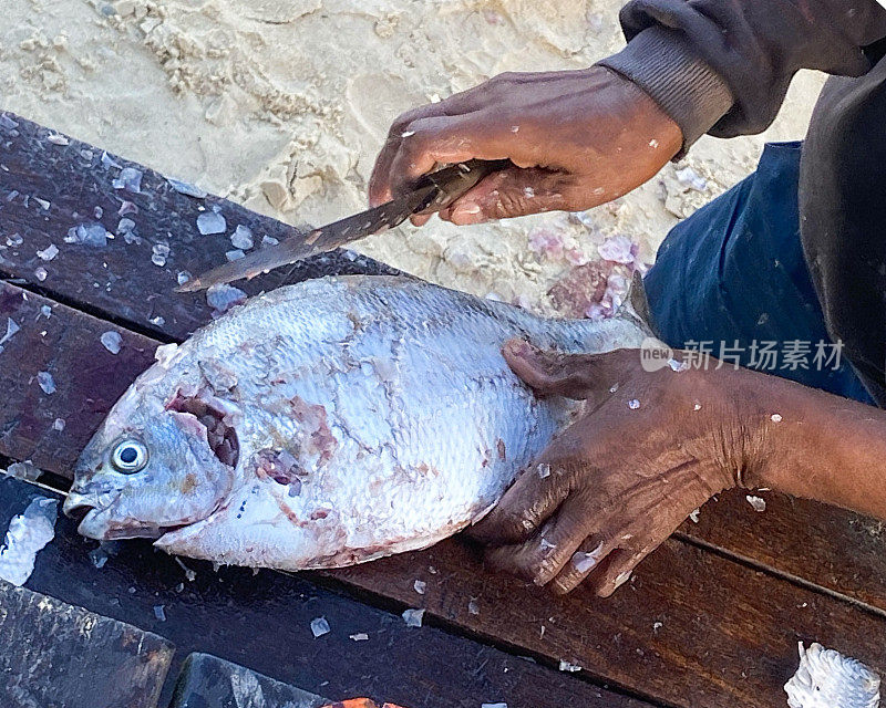 鱼清洗