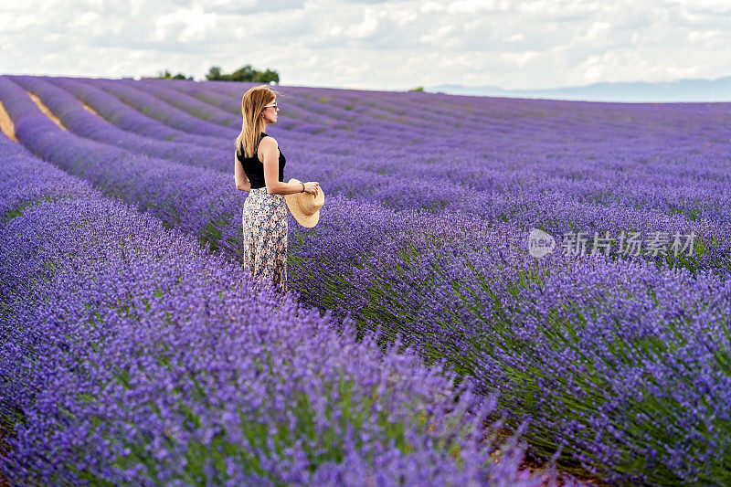 女人穿着长裙和太阳镜站在紫色盛开的薰衣草花的领域望向远方。在法国普罗旺斯的瓦伦索勒度暑假