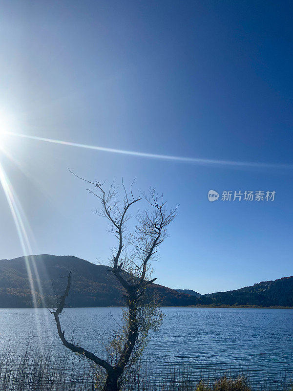 自然背景，湖泊，森林和天空背景