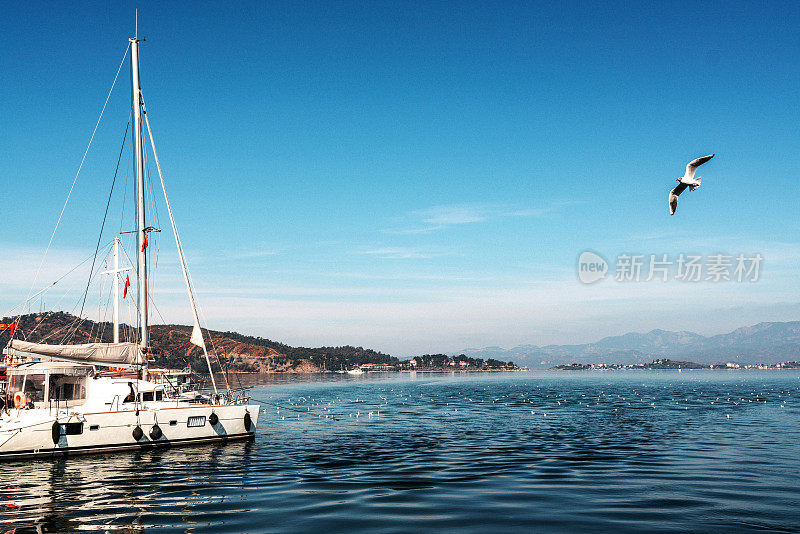 美丽的风景，白色的游艇在海上，海鸥在蓝天下飞翔