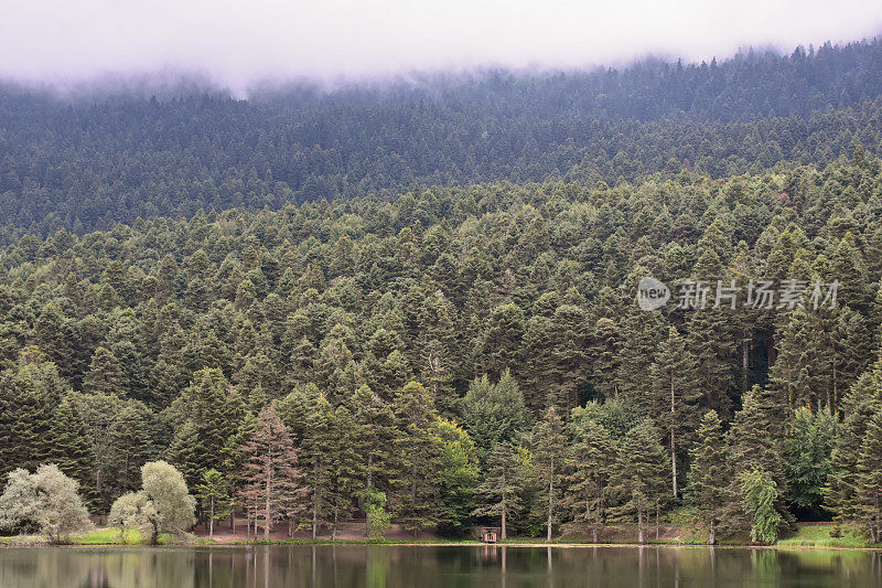 湖与雾蒙蒙的森林背景