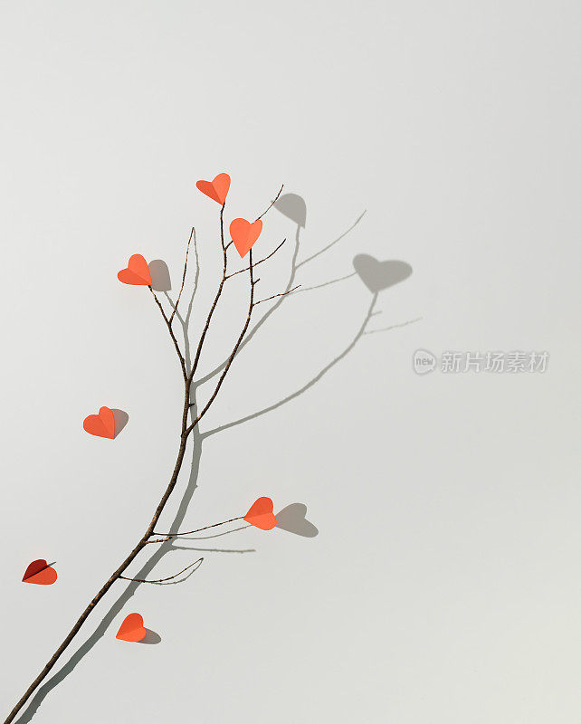 白色背景上有红纸心形的树枝。最小限度的爱或情人的概念。