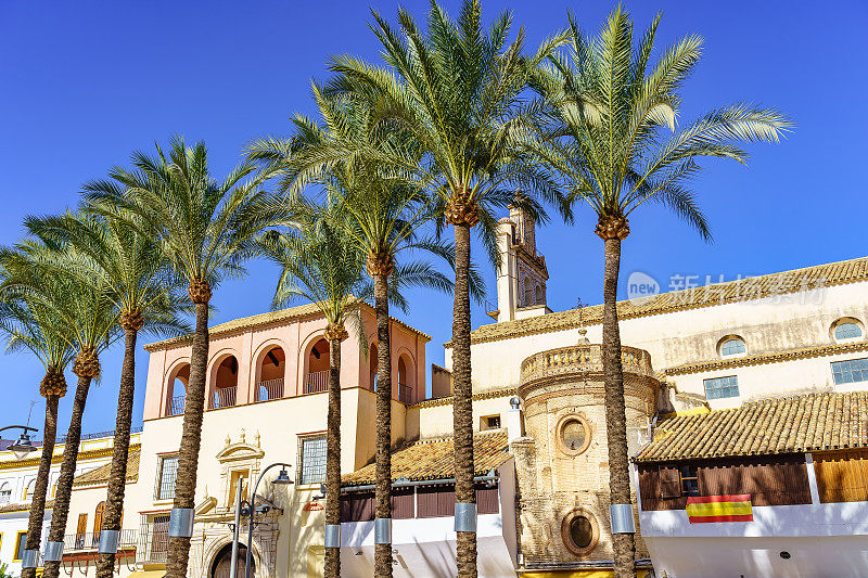 塞维利亚埃西加的西班牙广场上的热带棕榈树及其世界遗产建筑。