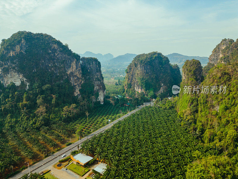 泰国棕榈油种植园道路的鸟瞰图