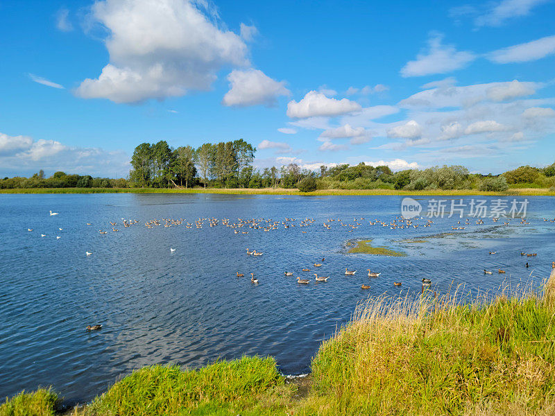 泰恩河畔纽卡斯尔外的大水湖