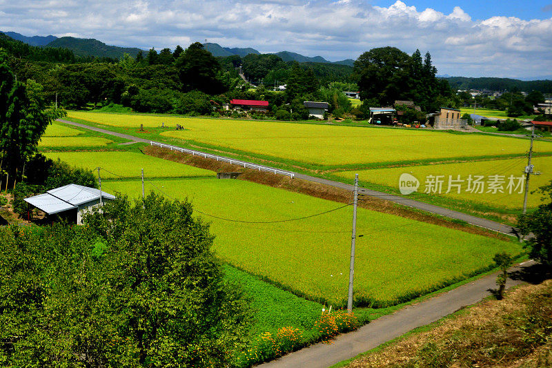 日本东部乡村景观:东武铁路观景